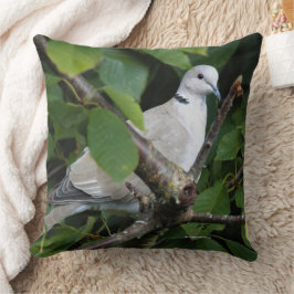 Euraziatische gekleurde duif zongbird op Cherry Tr Kussen