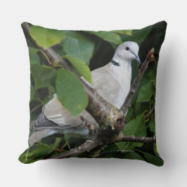 Euraziatische gekleurde duif zongbird op Cherry Tr Kussen
