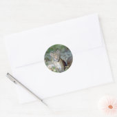 Euraziatische lynx, jonge kitten ronde sticker (Envelop)