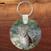 Euraziatische lynx, jonge kitten sleutelhanger (Voorkant)