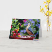 Euraziatische Nuthatch Kaart (Gele Bloem)