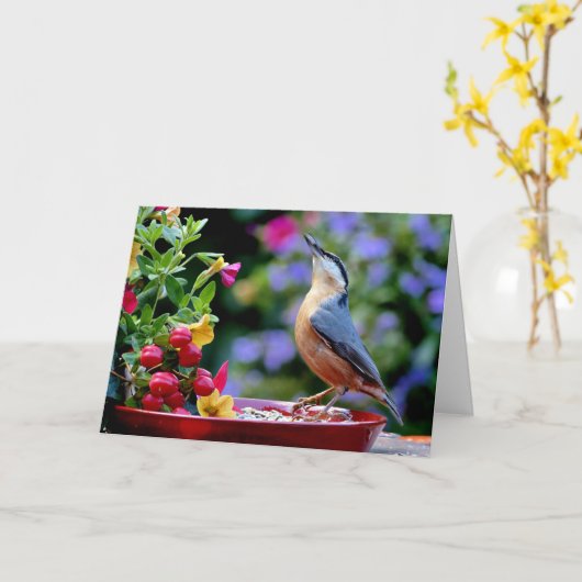 Euraziatische Nuthatch Kaart (Gele Bloem)