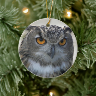 Euraziatische Oehoe Foto Kerst Keramisch Ornament