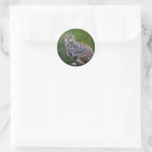 Euraziatische Oehoe Sticker (Tas)