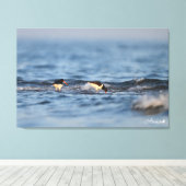 Euraziatische oestervanger canvas afdruk (Insitu (Houten vloer))