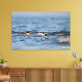 Euraziatische oestervanger canvas afdruk (Insitu (Woonkamer))