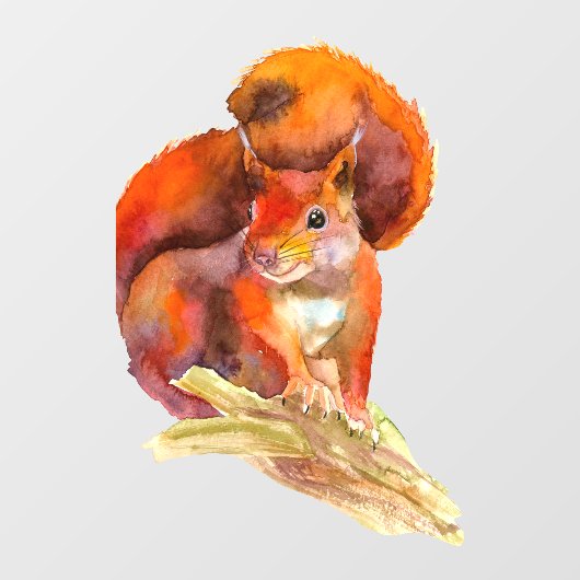 Euraziatische rode eekhoorn raamsticker (Vel)