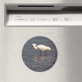 Euraziatische Spoonbill Magneet (Insitu (Vaatwasser))