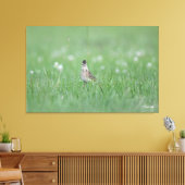 Euraziatische veldleeuwerik canvas afdruk (Insitu (Woonkamer))