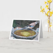 Euraziatische Vlaamse Gaai zittend op een vogelbad Kaart (Gele Bloem)