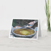 Euraziatische Vlaamse Gaai zittend op een vogelbad Kaart (Voorkant)