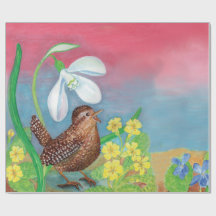 Euraziatische vrouwen en Snowdrop & Primroses