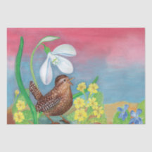 Euraziatische vrouwen en Snowdrop & Primroses