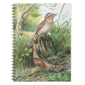Euraziatische Wrynek Bird Illustratie Notitieboek