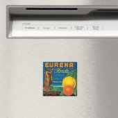 Eureka Florida Citrus Fruit Magneet (Insitu (Vaatwasser))
