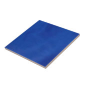 Euro Blue Tile Tegeltje (Zijkant)