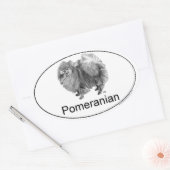 Euro-pommern Ovale Sticker (Envelop)