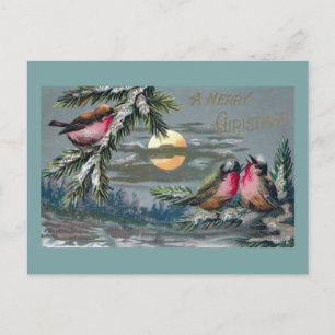 Euro Robins op maanverlichte nacht Vintage Kerstmi Feestdagenkaart