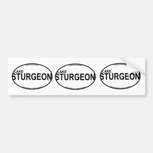 Euro Stickers meer van de Sturgeon (Voorkant)