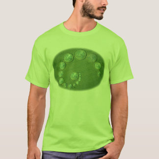 Eurokrooncirkels T-shirt