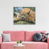 Europ �_ischer Luchs, Eurasischer Luchs (Lynx Canvas Afdruk (Insitu (Woonkamer))