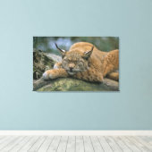 Europ �_ischer Luchs, Eurasischer Luchs (Lynx Canvas Afdruk (Insitu (Houten vloer))