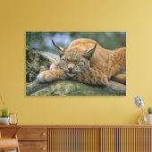 Europ �_ischer Luchs, Eurasischer Luchs (Lynx Canvas Afdruk (Insitu (Woonkamer))