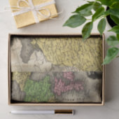 Europa 12 tissuepapier (Geschenk)