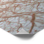 Europa Clipper Mission Spacecraft Poster (Hoek)