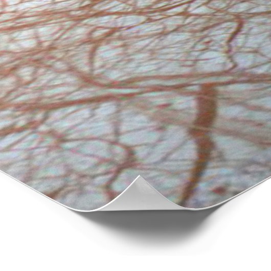 Europa Clipper Mission Spacecraft Poster (Hoek)