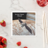 Europa Clipper Mission Spacecraft Servet (Insitu)