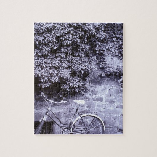 Europa, Duitsland, Baden, Wurttemberg, Heidelberg. Legpuzzel (Verticaal)