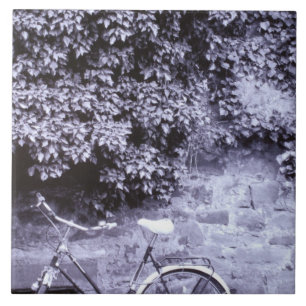 Europa, Duitsland, Baden, Wurttemberg, Heidelberg. Tegeltje