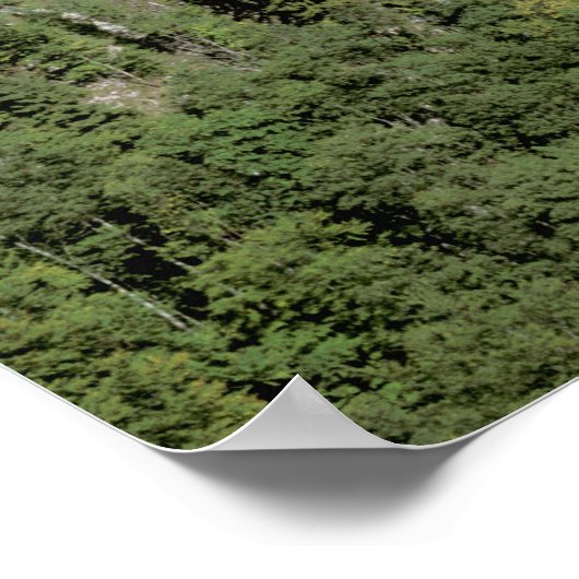 Europa, Duitsland, het kasteel van Neuschwanstein Poster (Hoek)