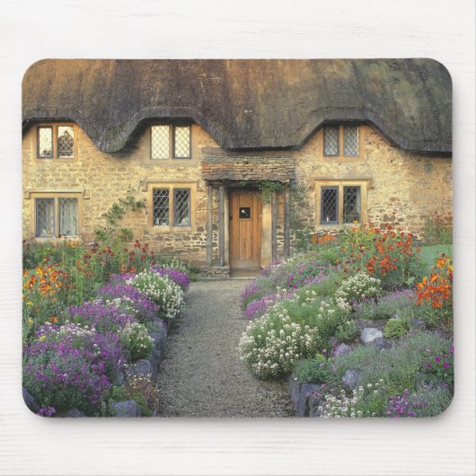 Europa, Engeland, Chippenham. Vroege ochtendverlic Muismat (Voorkant)