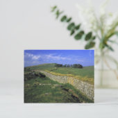 Europa, Engeland, Hadrians muur. De stenen van Briefkaart (Staand voorkant)