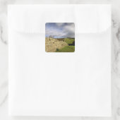 Europa, Engeland, Northumberland. Hadrians Vierkante Sticker (Tas)