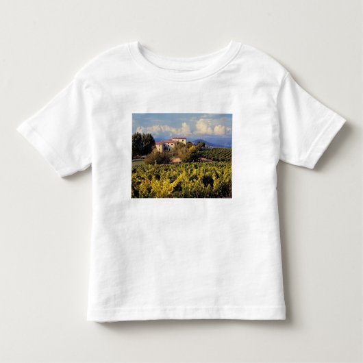 Europa, Frankrijk, Bonnieux. De wijngaarden bestri Kinder Shirts (Voorkant)