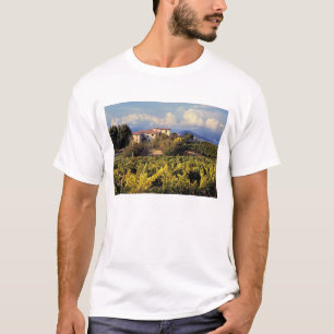 Europa, Frankrijk, Bonnieux. Wijngaarden bedekken T-shirt