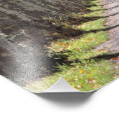 Europa, Frankrijk, Cereste. Bomen leiden deze weg Foto Afdruk (Hoek)