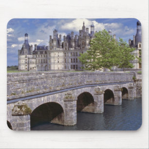 Europa, Frankrijk, Chambord. Een stenen brug leidt Muismat