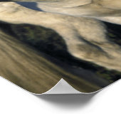 Europa, Frankrijk, Ile del la Camargue. Camargue 3 Poster (Hoek)