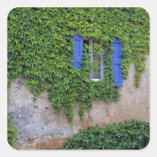 Europa, Frankrijk, Lourmarin. Klimmende klimop Vierkante Sticker