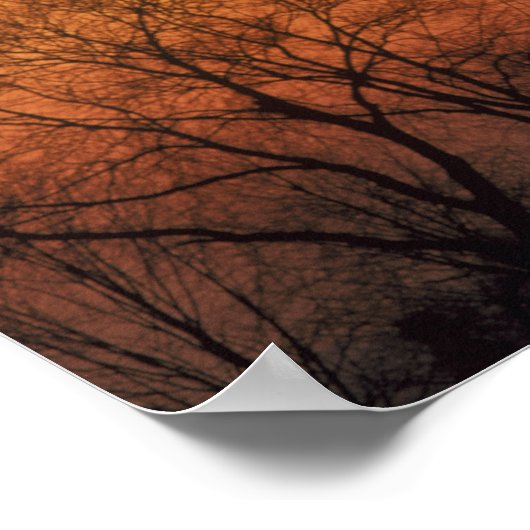 Europa, Frankrijk, Parijs. Eiffeltoren (middelgroo Poster (Hoek)