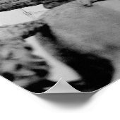 Europa, Frankrijk, Parijs. Statue en Ferris Wheel, Poster (Hoek)