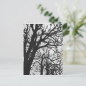 Europa, Frankrijk, Parijs. Winterbomen, Marco Briefkaart (Staand voorkant)