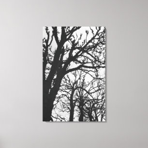 Europa, Frankrijk, Parijs. Winterbomen, Marco Canvas Afdruk