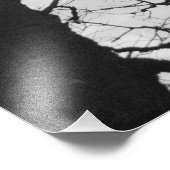 Europa, Frankrijk, Parijs. Winterbomen, Marco Foto Afdruk (Hoek)