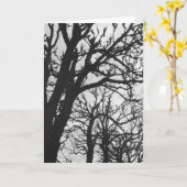 Europa, Frankrijk, Parijs. Winterbomen, Marco Kaart (Gele Bloem)