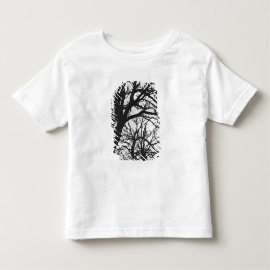 Europa, Frankrijk, Parijs. Winterbomen, Marco Kinder Shirts (Voorkant)